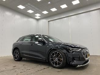 Dezmembrări autoturisme Audi E-tron 50 Quattro Launch Edition plus 71 kWh Panoramadak 2019/12