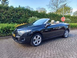 Renault Mégane 1.4 Tce Dynamic cabrio picture 1