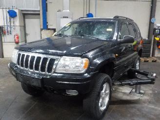 škoda osobní automobily Jeep Grand-cherokee Grand Cherokee (WG/WJ) SUV 4.7i V-8 HO (EVC) [190kW]  (10-2001/09-2005=
) 2002/2